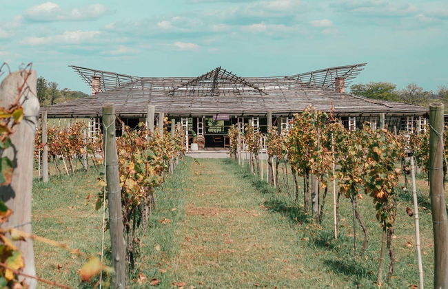 Visit to Bodega Gamboa Winery - Photo 8