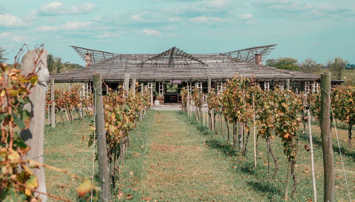 Visit to Bodega Gamboa Winery