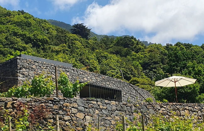 Terrabona Nature & Vineyards - Foto 44