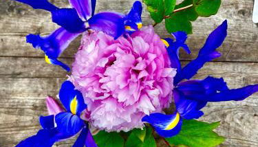 Manoir de La Barre Ceton - Foto 4