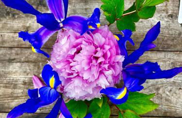 Manoir de La Barre Ceton - Foto 4