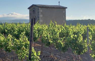 Domaine Saint Augustin - Foto 6