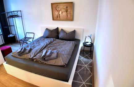 Stylisches City Appartment in Chemnitz bester Lage! - Foto 5