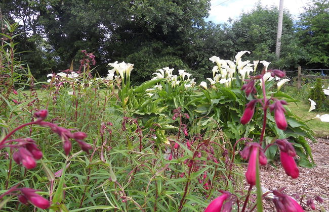 Ethan House Killarney - Foto 39