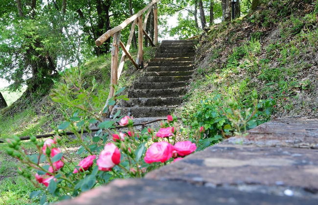 Agriturismo Chieteno - Foto 66