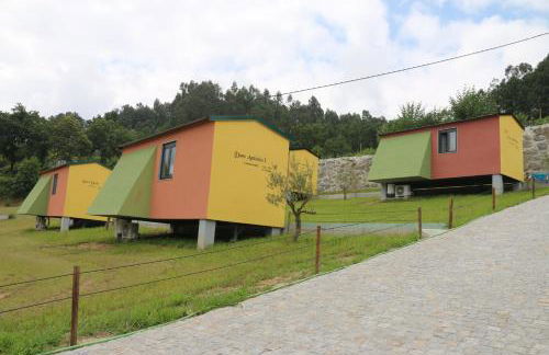 Quinta da Costa - Foto 5