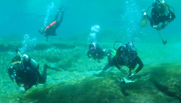 Foto di gruppo sott'acqua