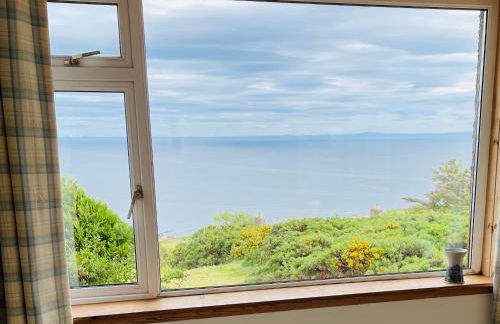 The Stroops - Foto 7