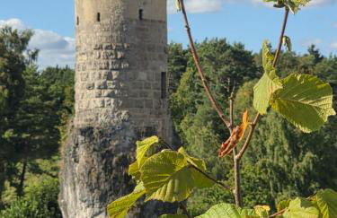 WaldZeit Gössweinstein, sonnige und ruhige Ferienwohnung in der Fränkischen Schweiz - Foto 8