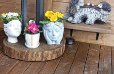 Domki Skitnica - Foto 59