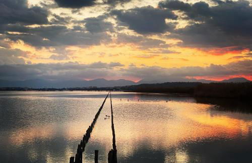 Poetto Casa Bach Ck - Foto 44