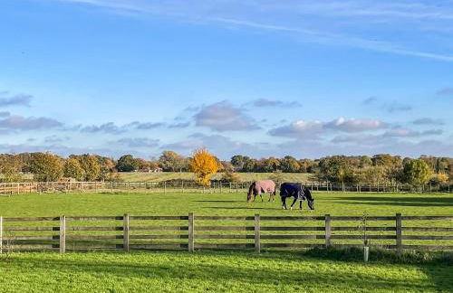 Chestnut Lodge - Foto 17