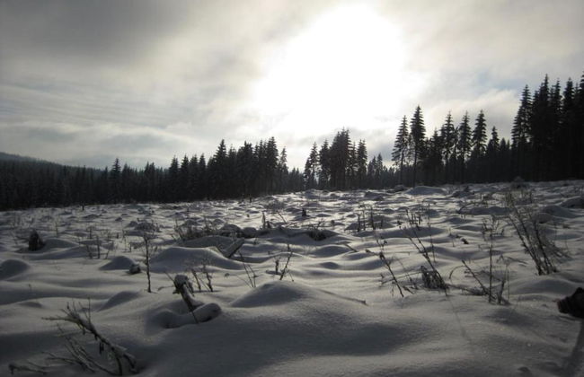 Cozy Ore Mountain Chalet - Foto 30