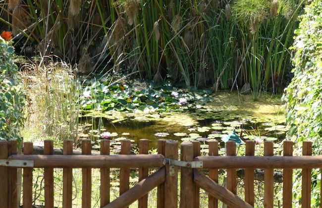 Vida-Vi, Country House and B&B - Foto 52