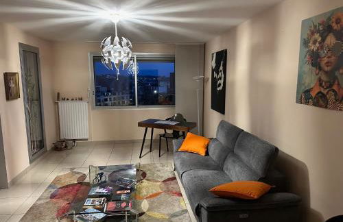 Bel appartement spacieux , lumineux, proche Dijon centre auditorium - Foto 6