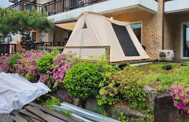 Dorothy's Forest Pension - Foto 14