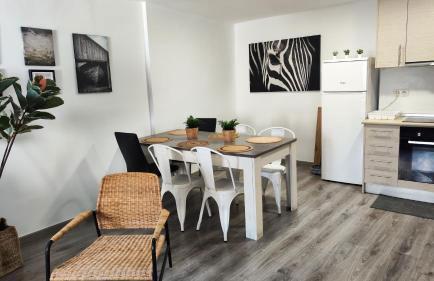 Boutique 2 apartamento Ave centro Lleida - Foto 6