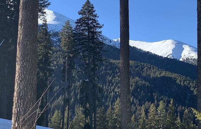 Beautiful Cosy Studio Apartment in Bansko - Photo 25