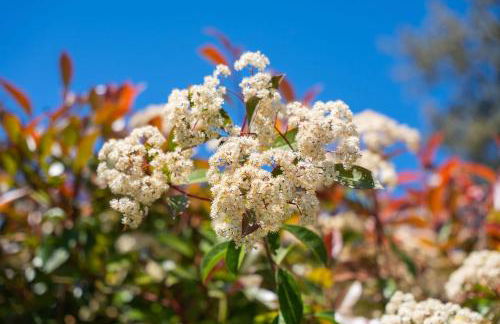 Villa Baou Evasion Provence - Foto 11