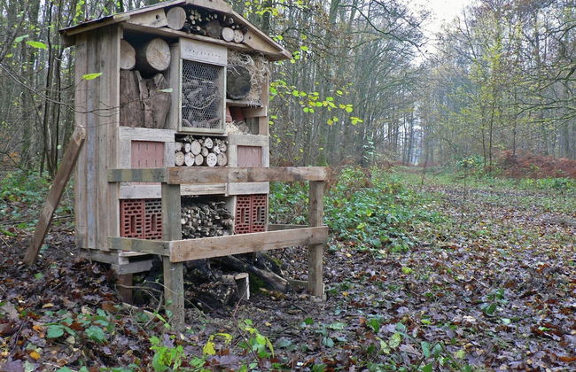 Cozy, Wooden Chalet With a Microwave, Located in a Forest - Foto 20