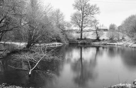 L'Angeberdière - Foto 27