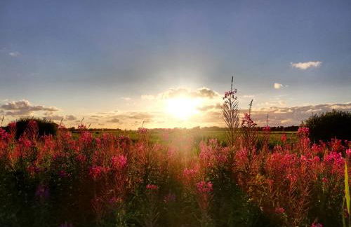Ferienhaus Grosses Meer mit Boot - Foto 25
