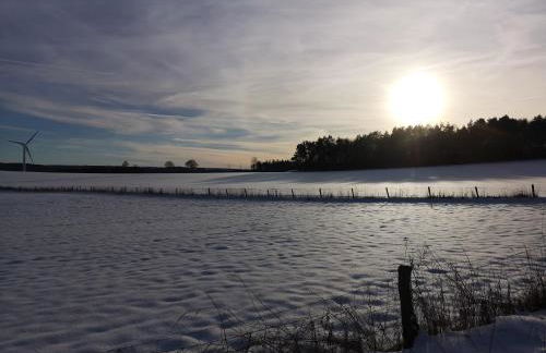 Ferienwohnung in Waldrandlage in Nationalpark Schleiden / Eifel - Foto 78