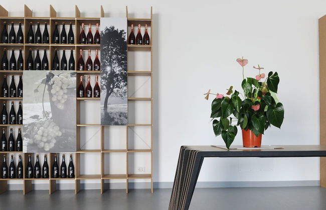 Pianderna Agriwellness - Foto 22