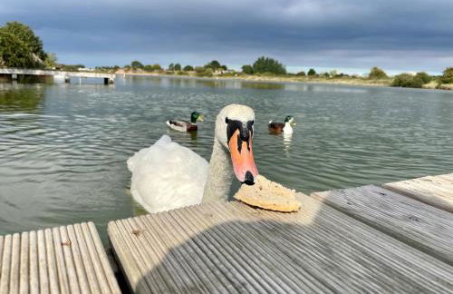 A unique, off-grid Eco Friendly Beach House. - Foto 66