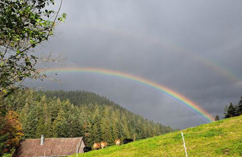 Ferienhaus Schwarzwald Seewald Erzgrube Badesee 100% Natur - Foto 16