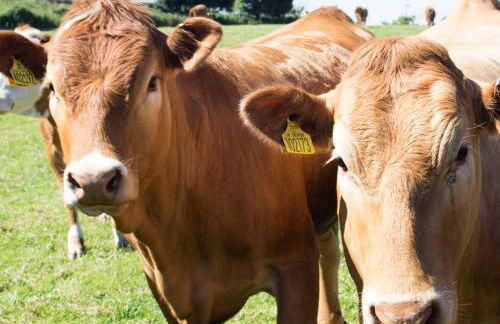 4 Bed in Wadebridge oc-t34227 - Foto 23