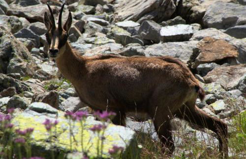 Escapadelia - Locations pour les sportifs et amoureux de la nature - Foto 17
