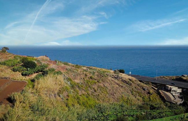 Sea View by Atlantic Holiday - Photo 23