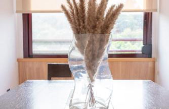 Apartamento Casa Esther y Xavi - Foto 5