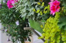 Cottage on the Hill - Foto 13