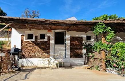 Gecko Pego Longo - Foto 9