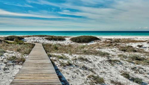 Grayt Paradise - Foto 3