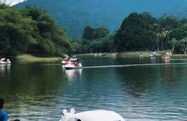 Taiping Lakeview Homestay - Foto 29