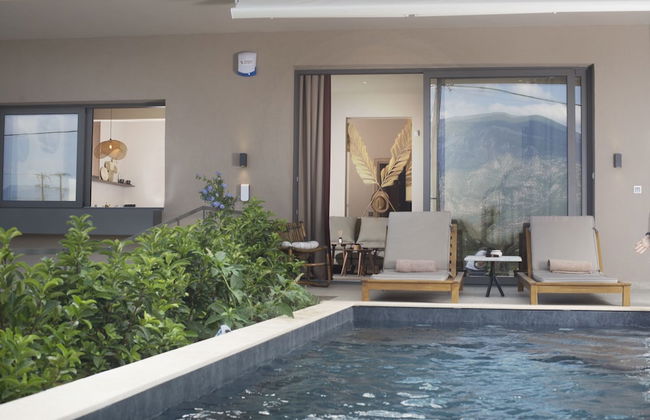 Elaia Grove - Foto 15