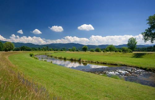 Ferienwohnung Elfriede - WLAN, 2 Bäder, Küche, Freisitz, 2 Parkplätze, im Ortskern - Foto 44