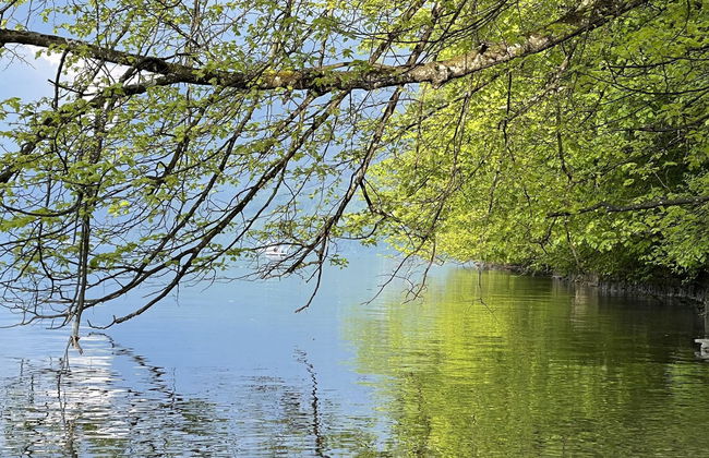 Panoramaferienwohnung Waldkircher - Foto 30