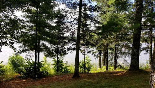 Idyllic Lake Cabin for a Camping Getaway in Cross Wing County, Minnesota - Foto 3