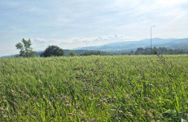 Luxury Apartments Kamienna Góra - Foto 16