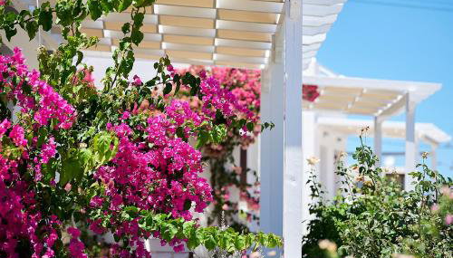 Mirabeli Apartments & Suites - Foto 2, Garden