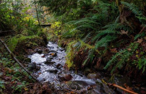 Highland Farms - Your Private Forest Farm - Foto 30