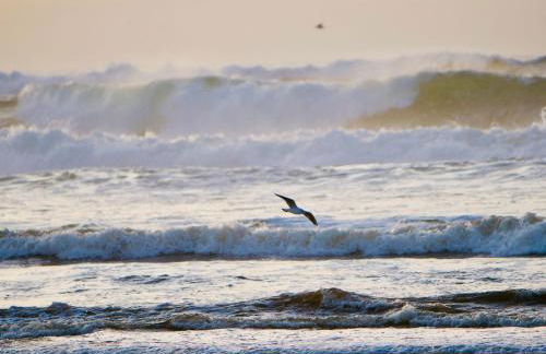 Appart Cosy Green, Océan, Golf, Piscine, Wifi - Foto 62