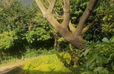 Tech, Travelling Nurse, UW, Seattle Lake Union, SU - Foto 21