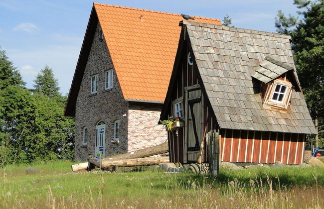 Bispinger Heidezauber - Foto 27