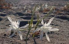 Casa Scirocco Sardegna - Photo 22