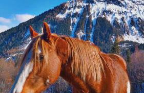 Studio cosy 4 pers, à APOLLO - Pied des pistes - SkiOpied, Casier à skis - Parking Gratuit - Domaine des Sybelles - Foto 37